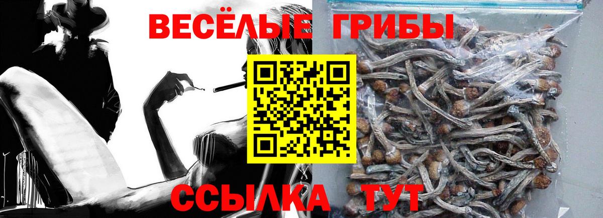 Псилоцибиновые грибы Psilocybe Норильск