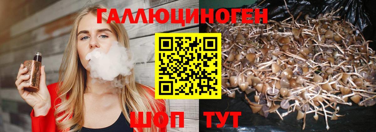 Норильск  Галлюциногенные грибы GOLDEN TEACHER  Вход с VPN 